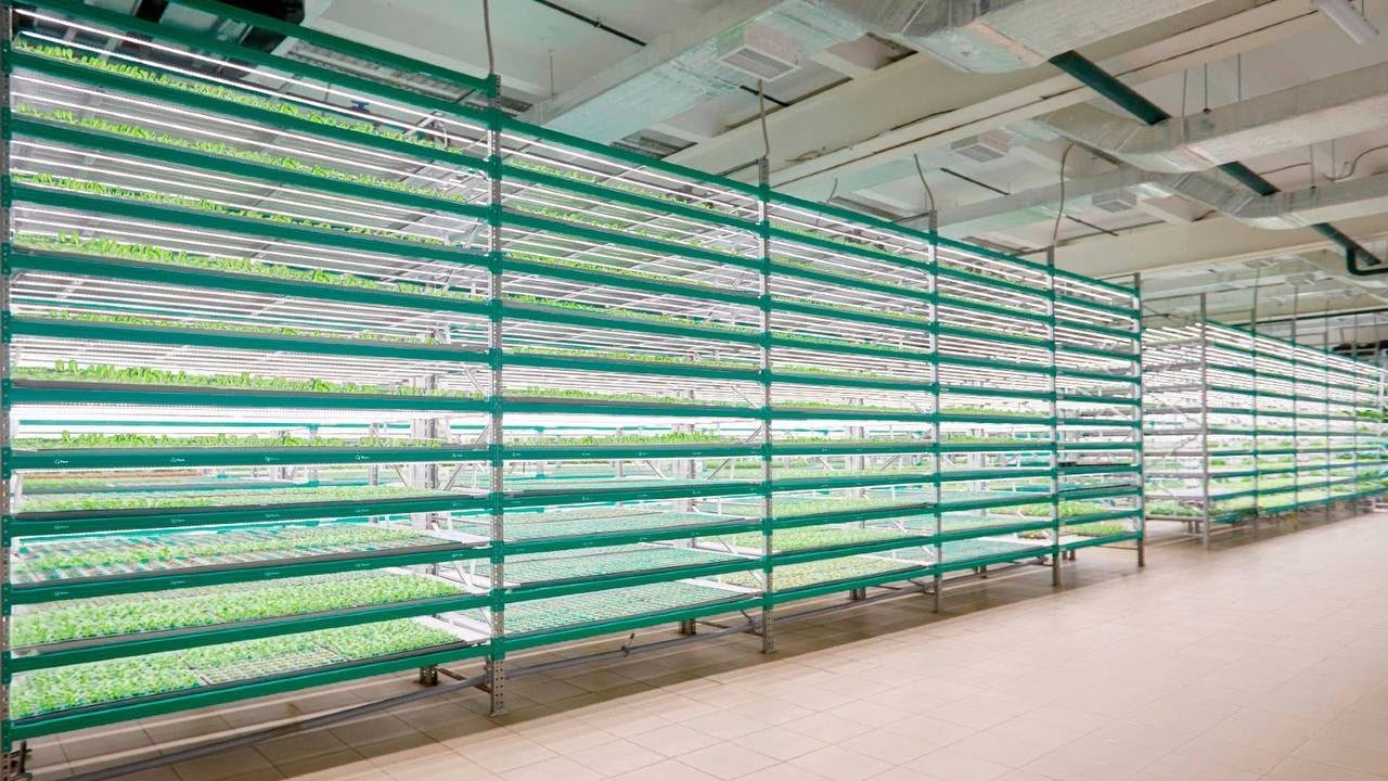 Saudi Arabia's Premium AgriTech