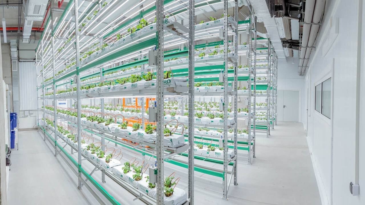 Hadidi Max Technology & Agriculture
